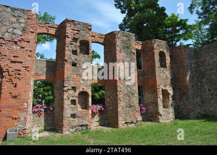 Rovine del castello di Grobina con fiori in Lettonia Foto Stock