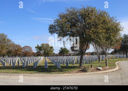 San Antonio, Stati Uniti. 1 dicembre 2023. Vista dei terreni del cimitero al Fort Sam Houston National Cemetery a San Antonio, Texas, USA, il 1° dicembre 2023. Attualmente il cimitero ha 338 acri di cui 200 sono stati sviluppati. Il Fort Sam Houston National Cemetery ha il potenziale di rimanere aperto per decenni. (Foto di Carlos Kosienski/Sipa USA) credito: SIPA USA/Alamy Live News Foto Stock