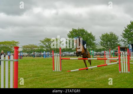 Marchwood Park, Motueka, Tasman District, Aotearoa / nuova Zelanda – 2 dicembre 2023: Cavallo con cavaliere che salta su una recinzione allo spettacolo Motueka A and P. Foto Stock