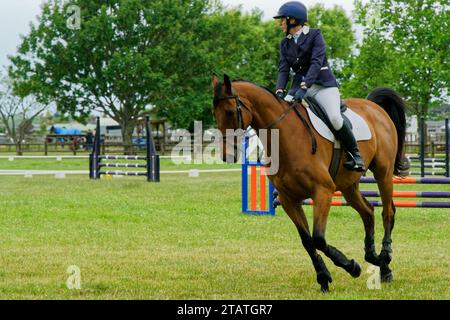 Marchwood Park, Motueka, Tasman District, Aotearoa / nuova Zelanda – 2 dicembre 2023: Cavallo e cavaliere si preparano a saltare allo spettacolo Motueka A and P. Foto Stock