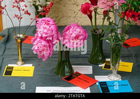 Marchwood Park, Motueka, Tasman District, Aotearoa / nuova Zelanda – 2 dicembre 2023: Vincitori del concorso Flower Show, Motueka A and P Show. Senza biglietto Foto Stock