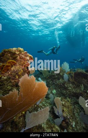 Due subacquei si fermano in sicurezza vicino a una barca per immersioni con una barriera corallina in primo piano a Grand Cayman, nei Caraibi. Foto Stock