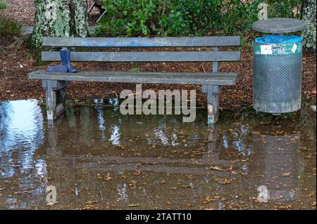 Un sedile e un cestino dei rifiuti sono bloccati in un'ampia pozzanghera o in un'area allagata dopo una forte pioggia Foto Stock