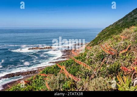 Sentiero escursionistico Robberg verso il punto, vicino alla baia di Plettenberg, Sudafrica - riserva naturale di Robberg Foto Stock