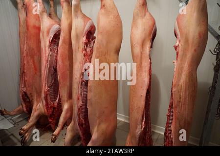 carne di maiale cruda fresca appesa agli uncini nella camera fredda in francia Foto Stock