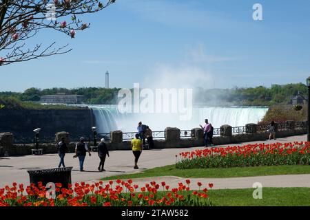 CASCATE DEL NIAGARA, ONTARIO, CANADA - 21 MAGGIO 2018: Vista delle cascate Horseshoe dal lato Candiano delle cascate con fiori primaverili in primo piano Foto Stock