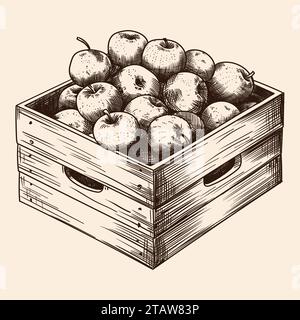 Scatola di legno piena di mele mature. Raccolto autunnale. Disegno a matita isolata su sfondo beige. Illustrazione Vettoriale