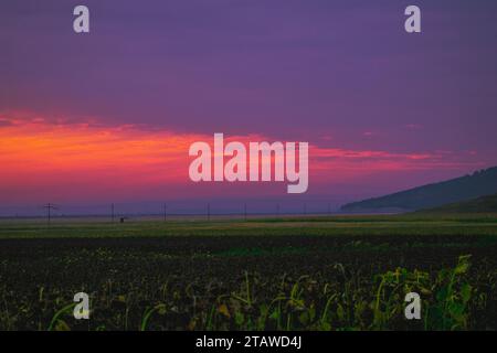 Cielo e terra colorati, onde di erba e alberi, luce calda che splende sulla splendida Terra, tramonto Foto Stock