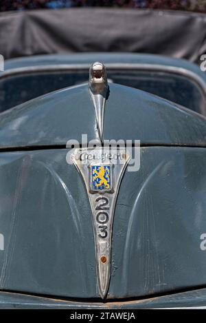 Capot avant et emblème du Lion de la 203 peugeo - cofano anteriore ed emblema leone per la peugeot 203 Foto Stock