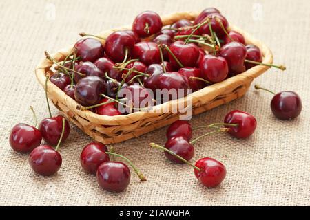 The Merry Cherries in Wicker Dish. Sweet Berries Crop sullo sfondo di Burlap in stile rurale. Foto Stock