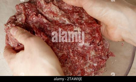 Primo piano della mano femminile che prepara le polpettine di hamburger dalla carne macinata nel recipiente. Cucinare a casa, elettrodomestici da cucina, nutrizione sana, ingresso di hamburger Foto Stock