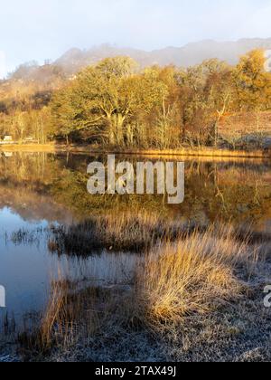 Selezione delle immagini Trossachs Foto Stock