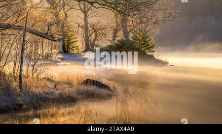 Selezione delle immagini Trossachs Foto Stock