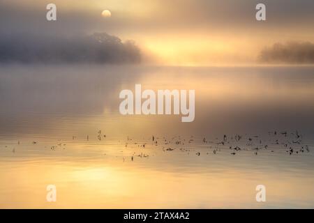 Selezione delle immagini Trossachs Foto Stock