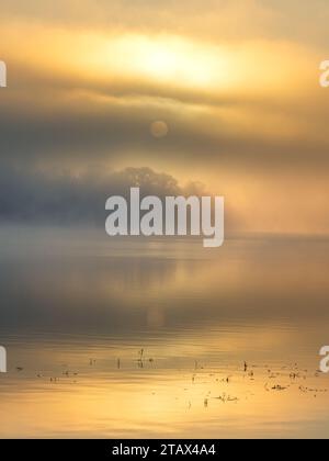 Selezione delle immagini Trossachs Foto Stock