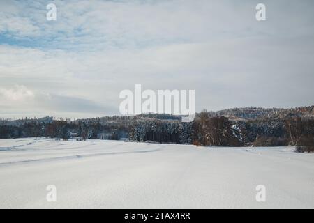 Winter Wonderland - paesaggio di Waldviertel coperto di neve, Austria Foto Stock