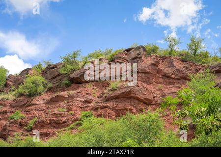 Roter Sandstein nahe Wettin, Sachsen-Anhalt, Deutschland *** Arenaria rossa vicino a Wettin, Sassonia-Anhalt, Germania Credit: Imago/Alamy Live News Foto Stock