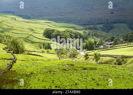 Il piccolo borgo agricolo di Cray a Upper Wharfedale, Yorkshire Dales, Inghilterra Foto Stock