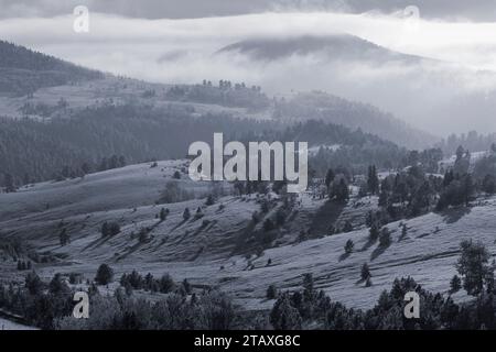 La neve fresca arriva al Cripple Creek e al Victor Mining District, nella regione alta del Colorado. Foto Stock