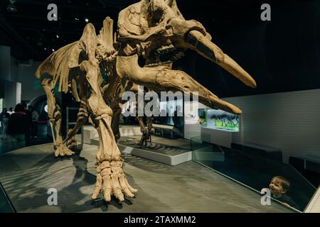 Drumheller, Alberta, Canada- 12 maggio 2022 il Royal Tyrell Museum of Palaeontology Houses. Foto di alta qualità Foto Stock