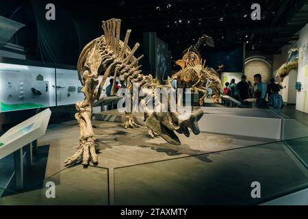 Drumheller, Alberta, Canada- 12 maggio 2022 il Royal Tyrell Museum of Palaeontology Houses. Foto di alta qualità Foto Stock