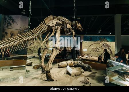 Drumheller, Alberta, Canada- 12 maggio 2022 il Royal Tyrell Museum of Palaeontology Houses. Foto di alta qualità Foto Stock