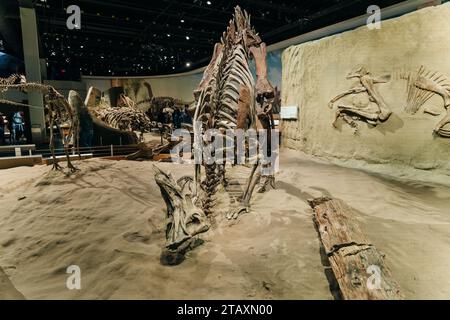 Drumheller, Alberta, Canada- 12 maggio 2022 il Royal Tyrell Museum of Palaeontology Houses. Foto di alta qualità Foto Stock