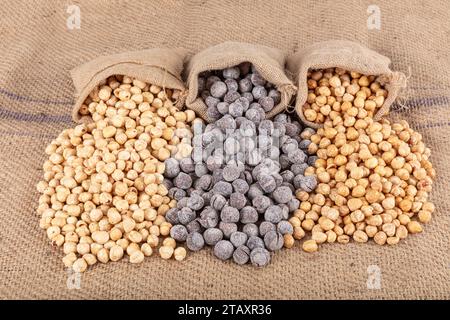 Varietà di nocciole su fondo di lino e torni di lino. Nocciole tostate sgusciate, nocciole sgusciate e nocciole tostate senza guscio. Cibo sano co Foto Stock