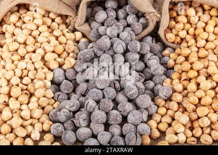 Varietà di nocciole su fondo di lino e torni di lino. Nocciole tostate sgusciate, nocciole sgusciate e nocciole tostate senza guscio. Cibo sano co Foto Stock