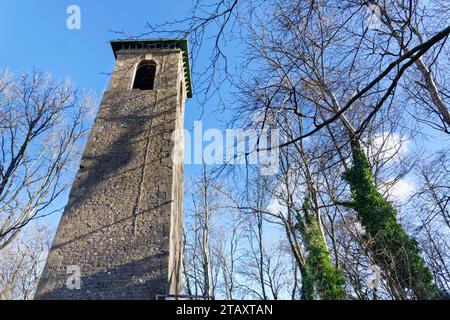 Browne's Folly, una torre costruita nel 1842 su una collina boscosa vicino a Bathford, Bath e nel nord-est del Somerset, Regno Unito, gennaio 2023. Foto Stock