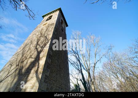 Browne's Folly, una torre costruita nel 1842 su una collina boscosa vicino a Bathford, Bath e nel nord-est del Somerset, Regno Unito, gennaio 2023. Foto Stock