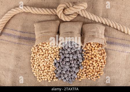 Varietà di nocciole su fondo di lino e torni di lino. Nocciole tostate sgusciate, nocciole sgusciate e nocciole tostate senza guscio. Cibo sano co Foto Stock