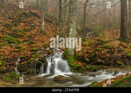 Piccolo torrente dalla collina vicino alla cascata di Ponikly dopo la pioggia notturna in autunno Foto Stock