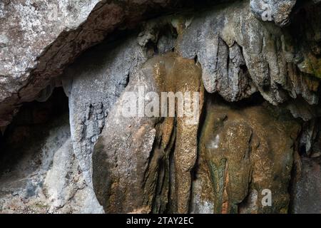 Pareti di una grotta nel parco nazionale Los Haitises. Samana Gulf, Repubblica Dominicana Foto Stock