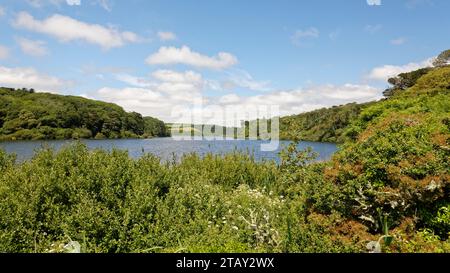 Loe Pool, il più grande lago naturale di acqua dolce della Cornovaglia, vista a nord dalla punta meridionale del bosco di Degibna, Penrose, vicino a Porthleven, Lizard, Cornovaglia Foto Stock