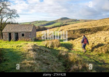 Uomo che cammina, cammina, fa escursioni con zaino in spalla nell'English Peak District, si avvicina a un vecchio edificio agricolo con la collina di Shutlingsloe in lontananza Foto Stock