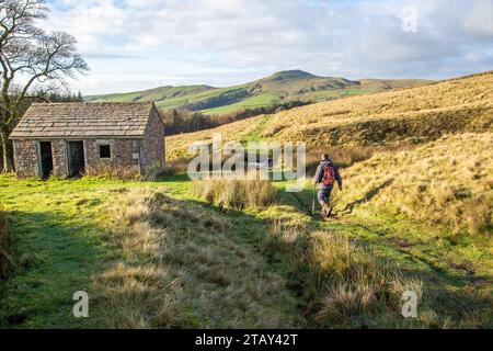 Uomo che cammina, cammina, fa escursioni con zaino in spalla nell'English Peak District, si avvicina a un vecchio edificio agricolo con la collina di Shutlingsloe in lontananza Foto Stock