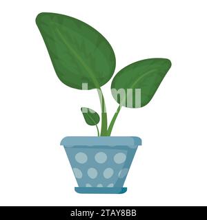 Pianta della casa in vaso di fiori. Impianto domestico decorativo per interni. Ufficio e casa. Illustrazione vettoriale Illustrazione Vettoriale