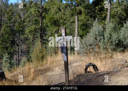 Questo è da una serie di foto che ho scattato al Grindstone Lake Loop Trail vicino a Ruidoso, New Mexico. Questo posto fa parte della Lincoln National Forest. Foto Stock