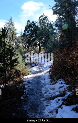 Questo è da una serie di foto che ho scattato al Grindstone Lake Loop Trail vicino a Ruidoso, New Mexico. Questo posto fa parte della Lincoln National Forest. Foto Stock