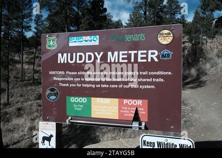 Questo è da una serie di foto che ho scattato al Grindstone Lake Loop Trail vicino a Ruidoso, New Mexico. Questo posto fa parte della Lincoln National Forest. Foto Stock
