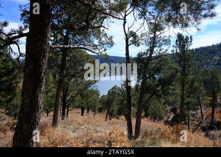 Questo è da una serie di foto che ho scattato al Grindstone Lake Loop Trail vicino a Ruidoso, New Mexico. Questo posto fa parte della Lincoln National Forest. Foto Stock