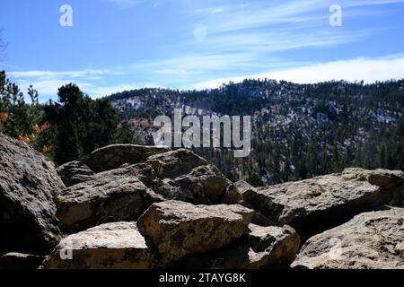Questo è da una serie di foto che ho scattato al Grindstone Lake Loop Trail vicino a Ruidoso, New Mexico. Questo posto fa parte della Lincoln National Forest. Foto Stock