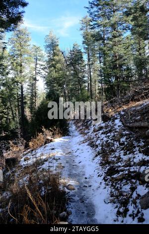 Questo è da una serie di foto che ho scattato al Grindstone Lake Loop Trail vicino a Ruidoso, New Mexico. Questo posto fa parte della Lincoln National Forest. Foto Stock