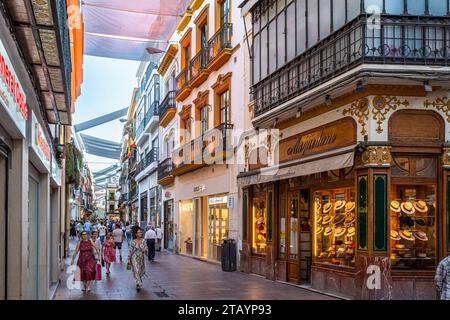 Street scen con vecchi edifici classici e negozi a Siviglia in Spagna Foto Stock