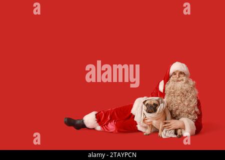 Babbo Natale e bulldog francese con sciarpa su sfondo rosso Foto Stock