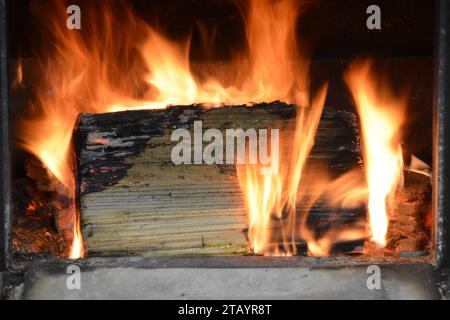 Logs burning in a wood stove. Foto Stock