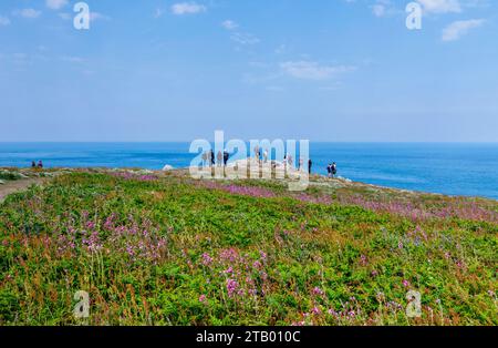 Vista dalla cima della scogliera da Skomer, un'isola al largo della costa del Pembrokeshire, vicino a Marloes e St Brides nel Galles occidentale, famosa per la sua fauna selvatica Foto Stock