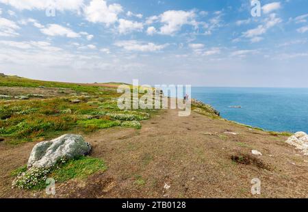 Vista dalla cima della scogliera da Skomer, un'isola al largo della costa del Pembrokeshire, vicino a Marloes e St Brides nel Galles occidentale, famosa per la sua fauna selvatica Foto Stock