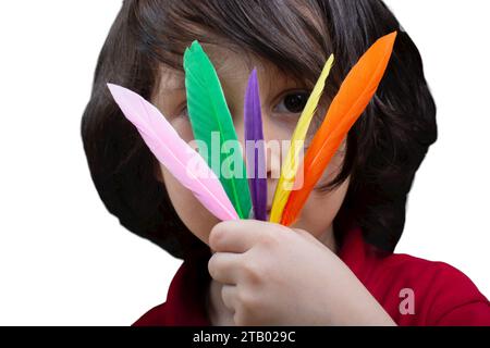 Piume elementi isolati set. Coloratissime piume di uccelli luminosi dalle ali. Foto Stock